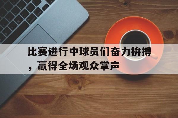 包含比赛进行中球员们奋力拚搏，赢得全场观众掌声的词条