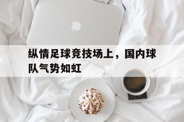 包含纵情足球竞技场上，国内球队气势如虹的词条